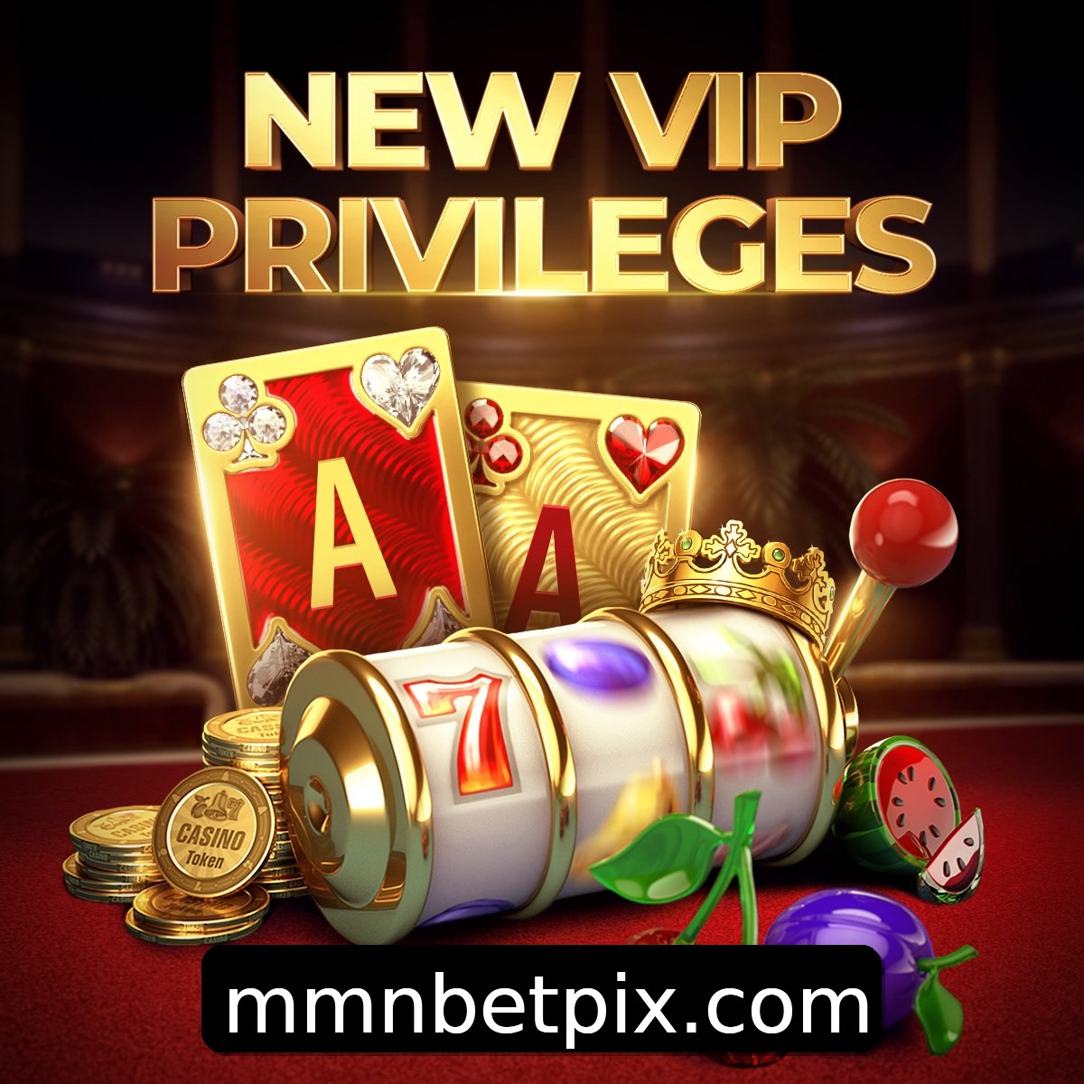 Programa VIP mmnbet